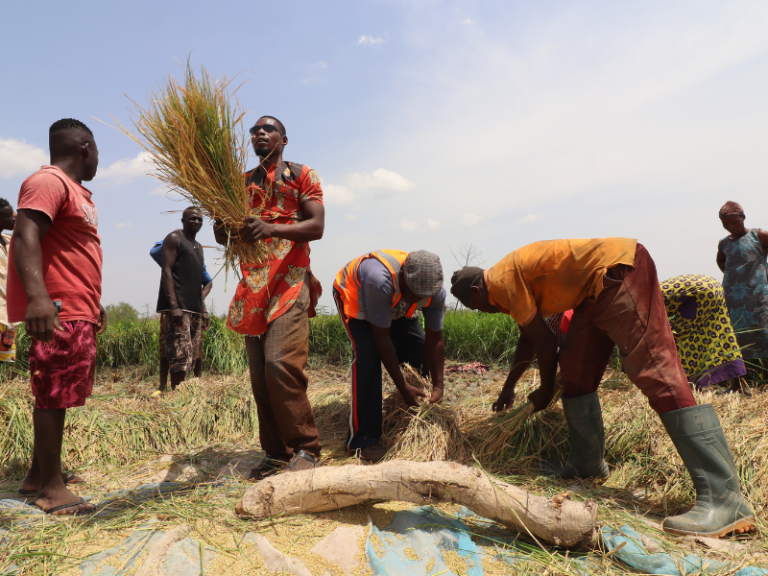 Economic Persecution: Restoration and Resilience (Part 5 of 5) 